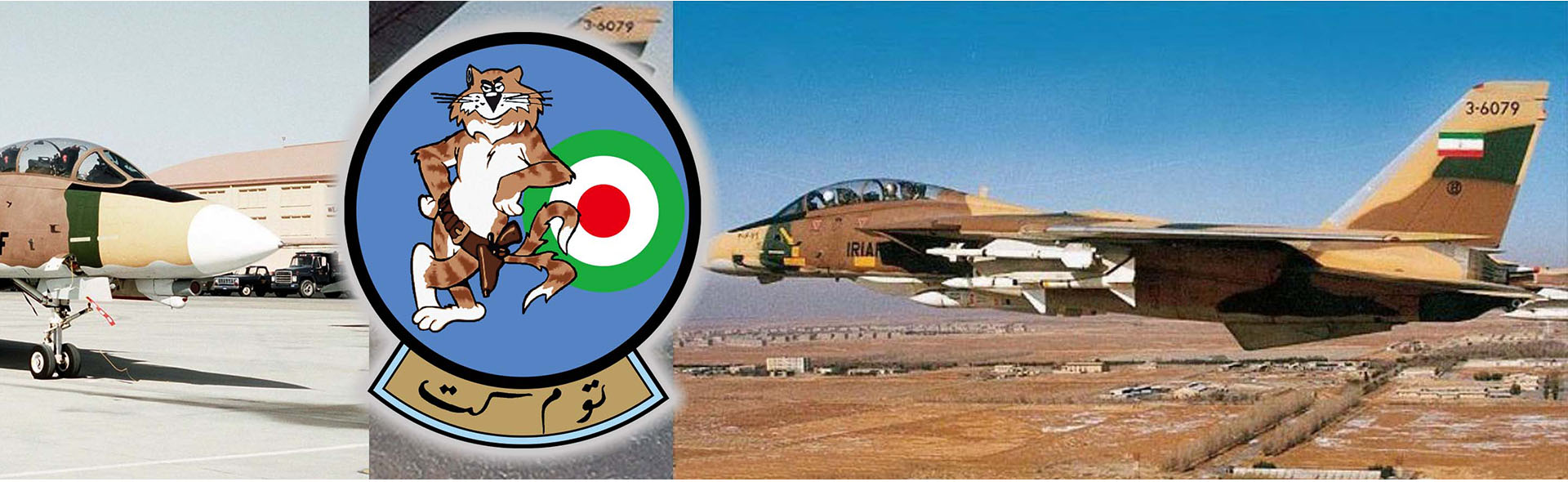 1/200 CVN-65 Enterprise deck + 4' Legendary F-14 Tomcat series