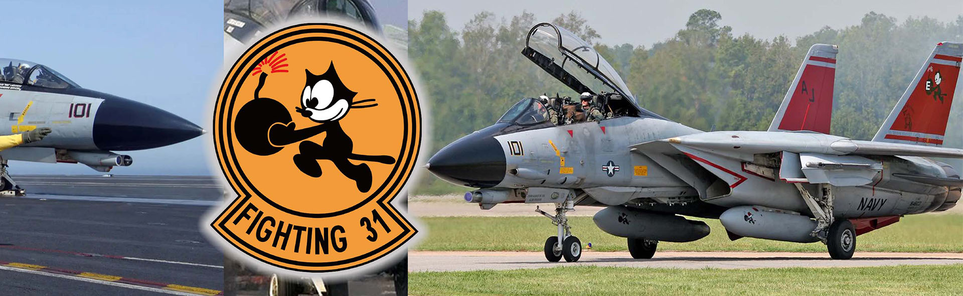 1/200 CVN-65 Enterprise deck + 4' Legendary F-14 Tomcat series